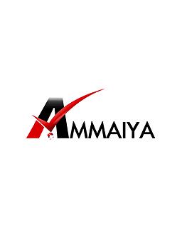 Web Development Company | Ammaiya IT Services | SEO