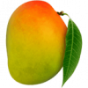 Devgad Mango – World's Best Devgad Alphonso Mango Directly from Farmers