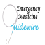 EMERGENCY MEDICINE GUIDEWIRE - EMGuideWire