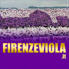 Firenze Viola: Notizie sulla Fiorentina