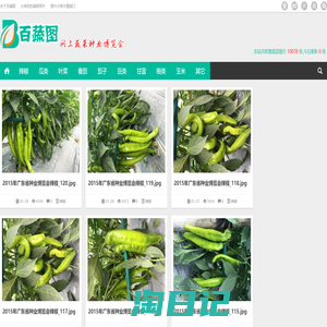 百蔬图（农科百蔬网）|免费蔬菜高清图片分享网站