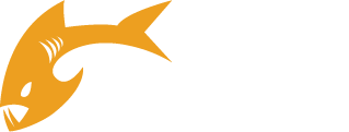 Payara Server - Server Running