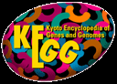 KEGG: Kyoto Encyclopedia of Genes and Genomes