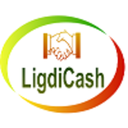 Ligdicash: Moyen de paiement en ligne