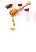 מידרג - דרוג בעלי מקצוע