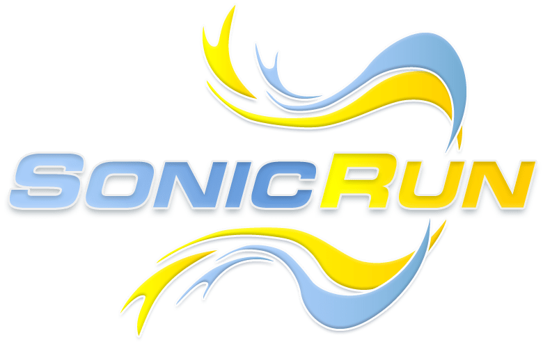 Sonic Run: Internet Search Engine